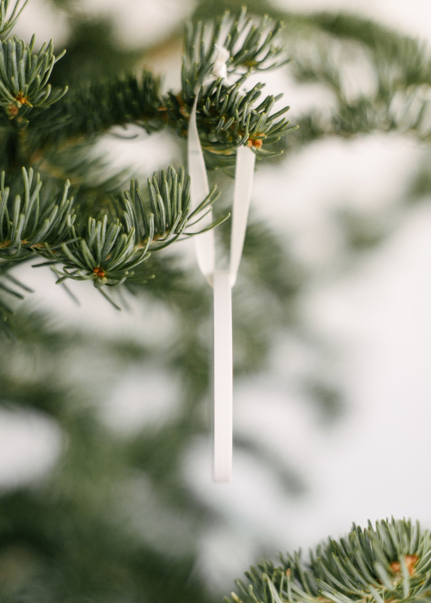 Ornament Memorial Dragonfly Because Someone We Love Heaven