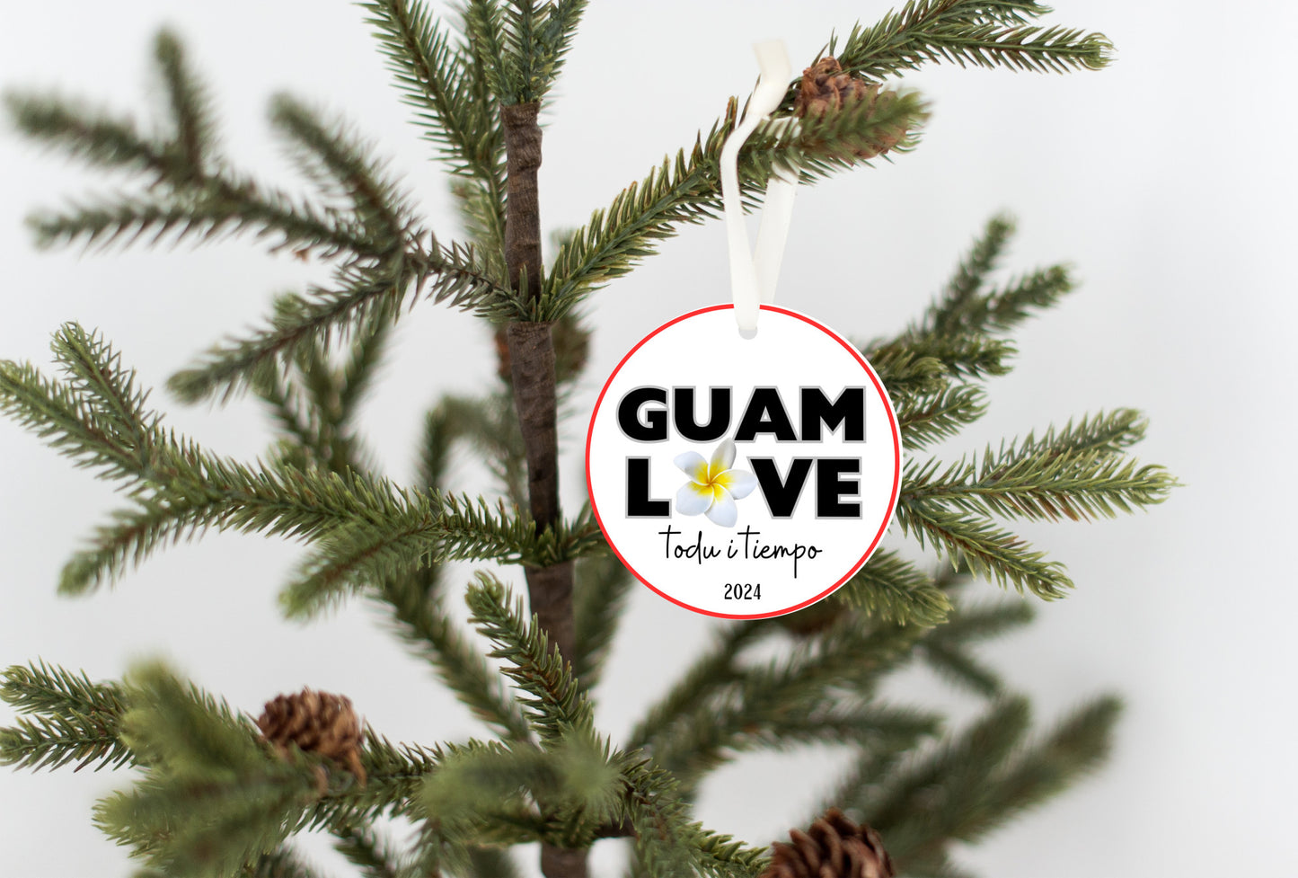 Guam love plumeria flower ornament, todu i tiempu christmas decoration 2024, relatives family celebration, island culture