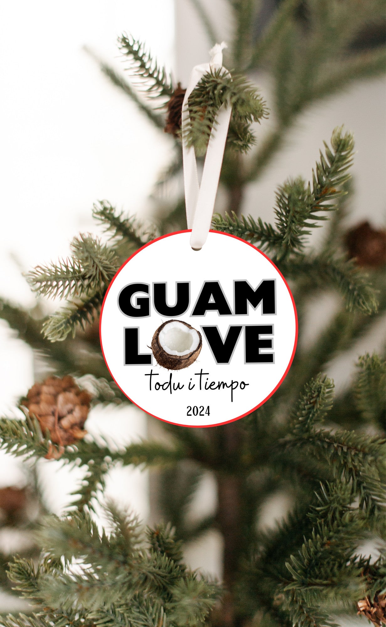 Guam love coconut ornament, todu i tiempu christmas decoration 2024, relatives family celebration, island culture