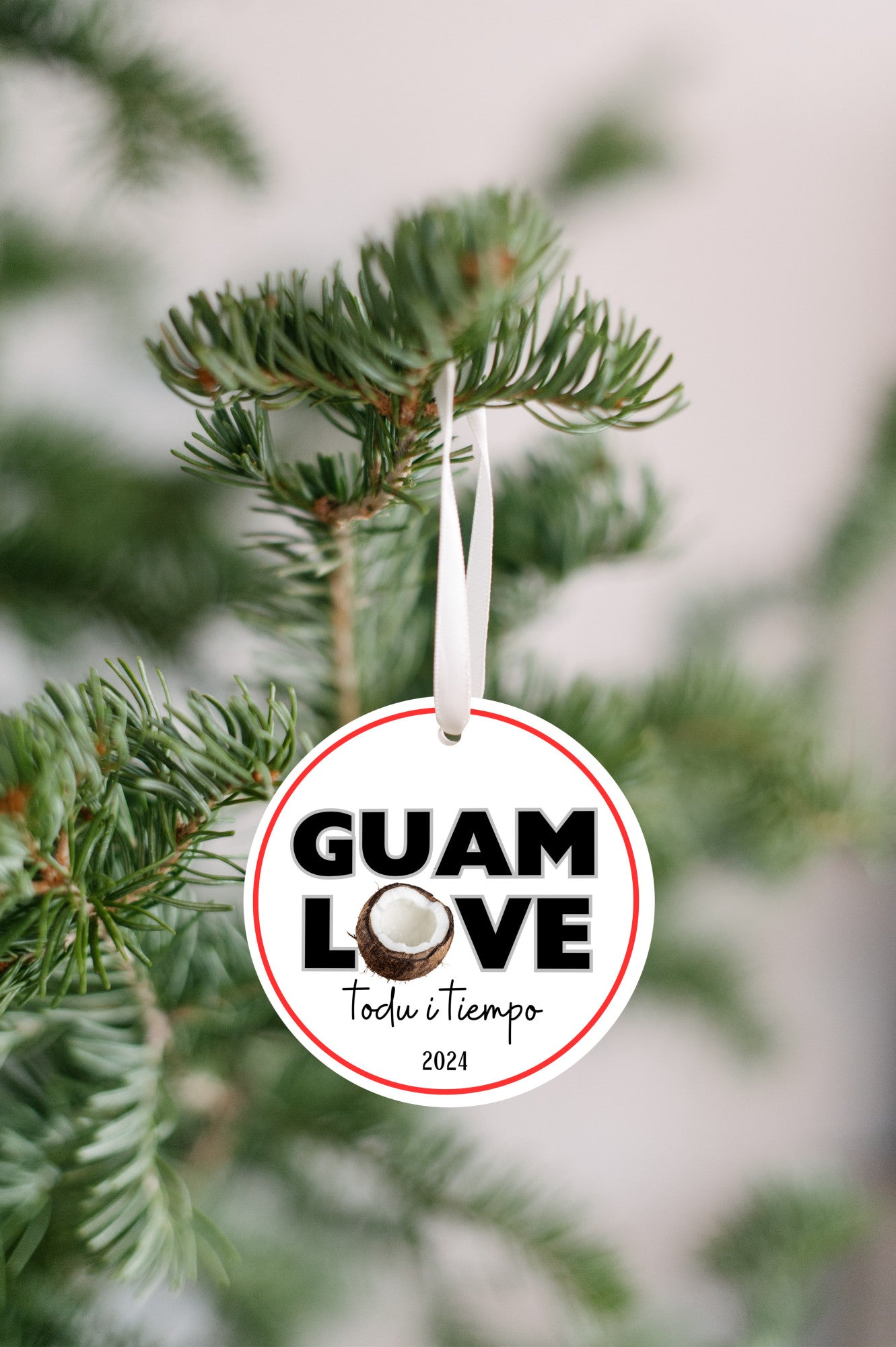 Guam love coconut ornament, todu i tiempu christmas decoration 2024, relatives family celebration, island culture